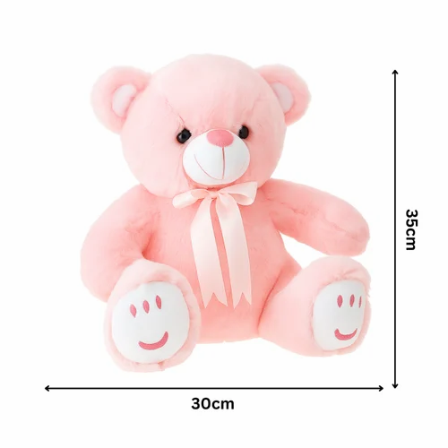 Teddy Bear Soft Toy