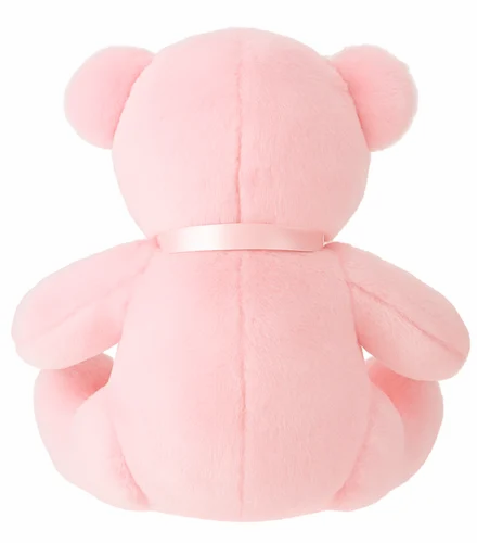 Teddy Bear Soft Toy