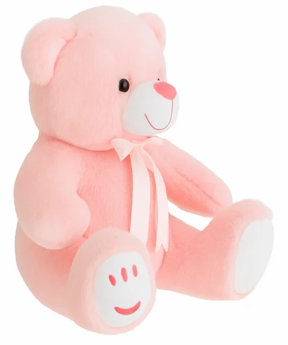 Teddy Bear Soft Toy